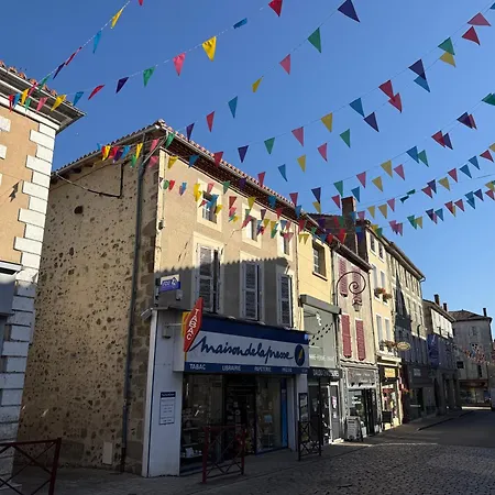 Le Caprice Garden, River And Chateau * Saint-Germain-de-Confolens